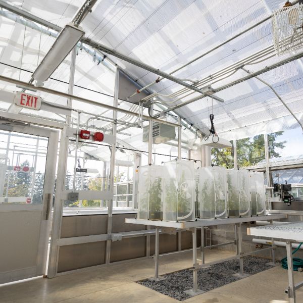 Nancy Jean Stump Seiger ’54 Botanical Research Center Kutztown University